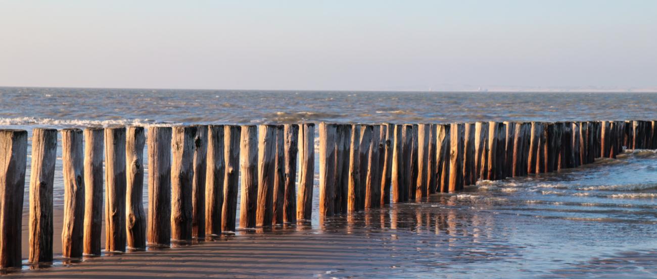 Blick vom Strand auf das Meer über eine Reihe Strandpfähle hinweg