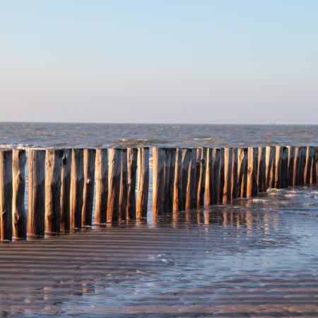 am Meer (c) Monika Herkens Blick vom Strand auf das Meer über eine Reihe Strandpfähle hinweg