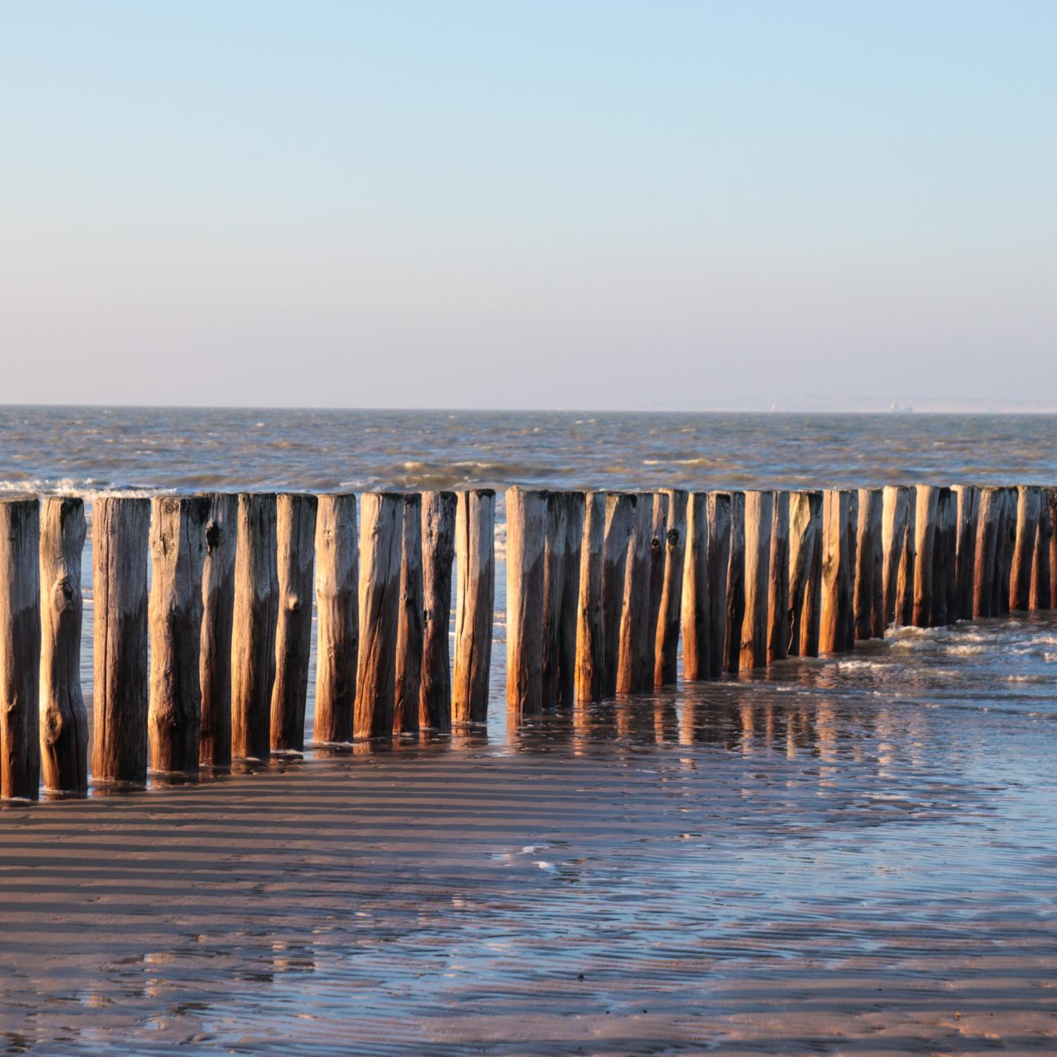 Blick vom Strand auf das Meer über eine Reihe Strandpfähle hinweg