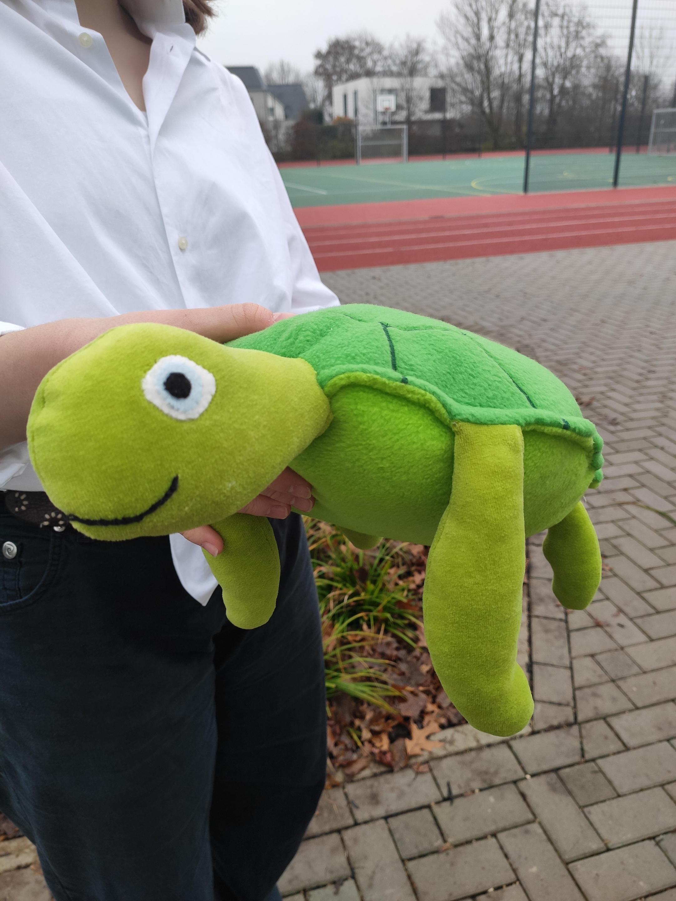 Als zweite bischöfliche Schule nach der Marienschule in Mönchengladbach hat das Bistum Aachen die Krefelder Maria-Montessori-Gesamtschule im Rahmen des Projektes „Cool down and survive – damit unsere Erde morgen noch atmen kann“ für das besondere Engagement im Klimaschutz ausgezeichnet.